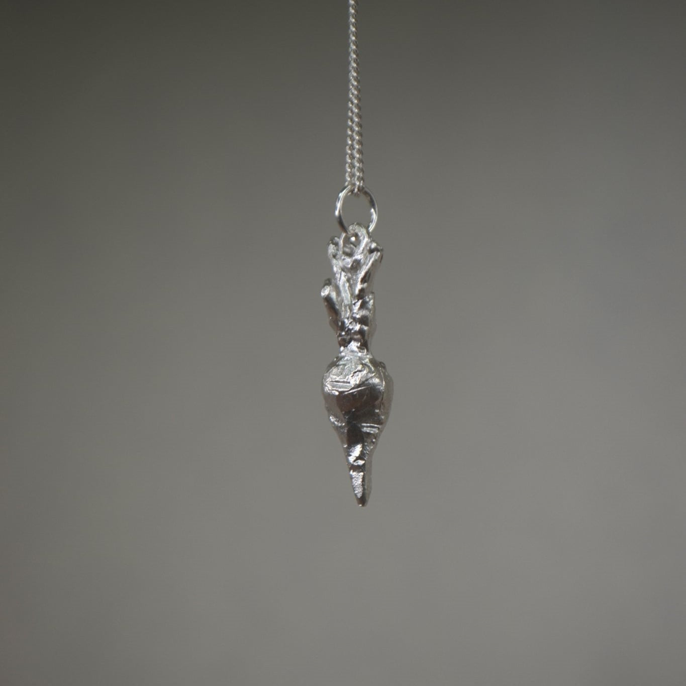 Radish | Garden Series