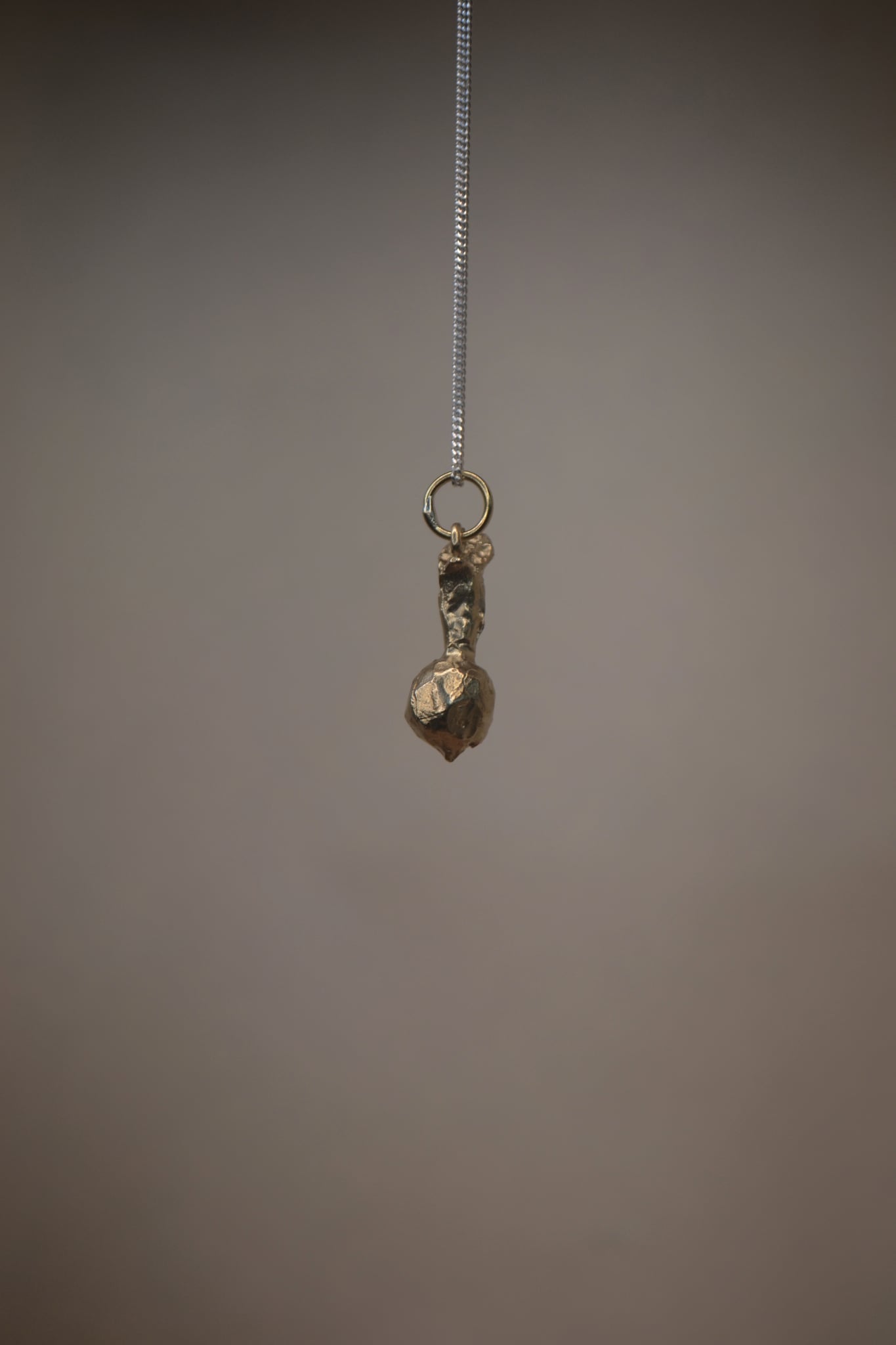 Turnip | Garden Series