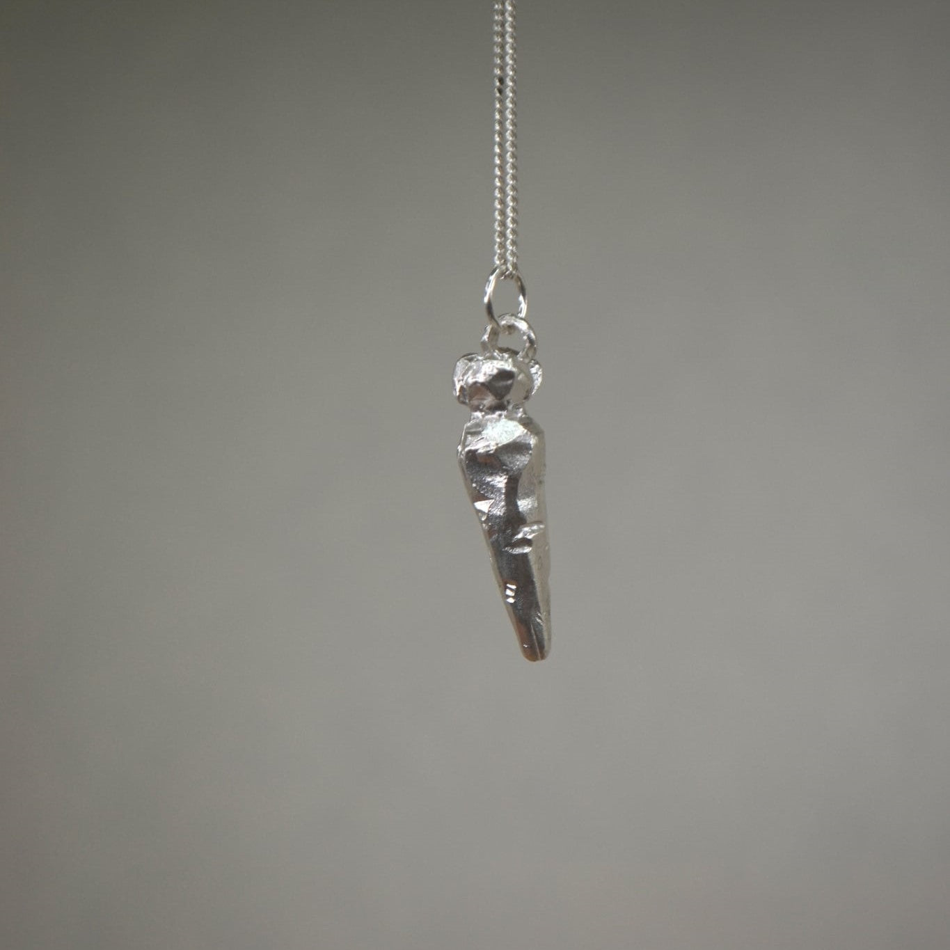 Carrot | Garden Series