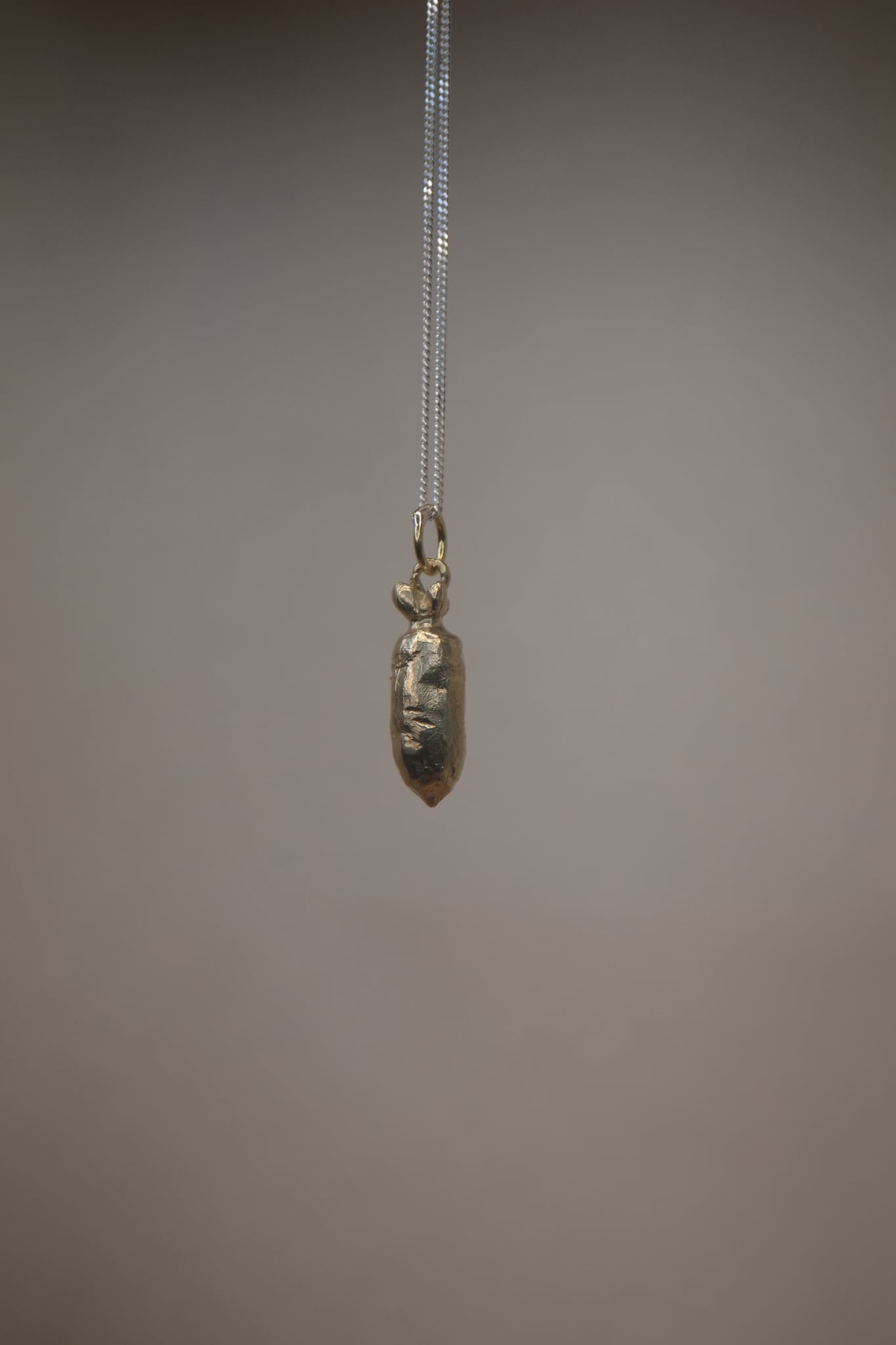 Daikon | Garden Series