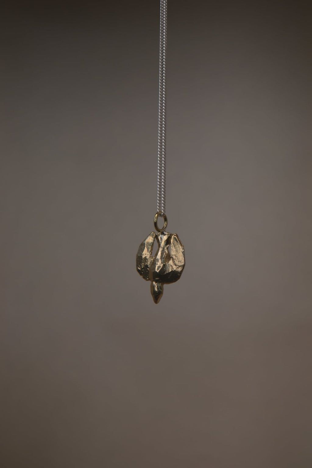 Bird | Creatures Series