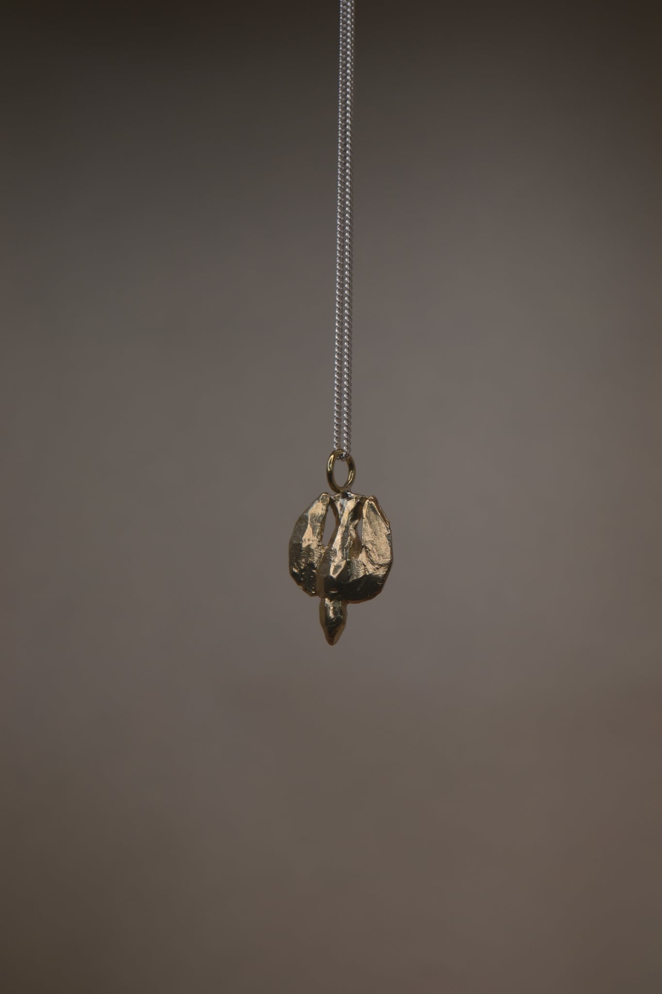 Bird | Creatures Series