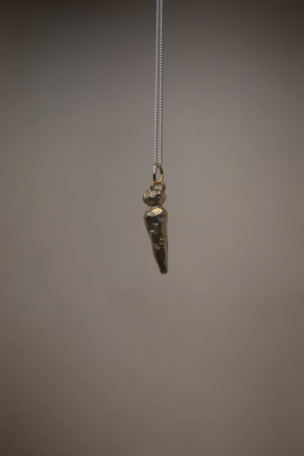 Carrot | Garden Series