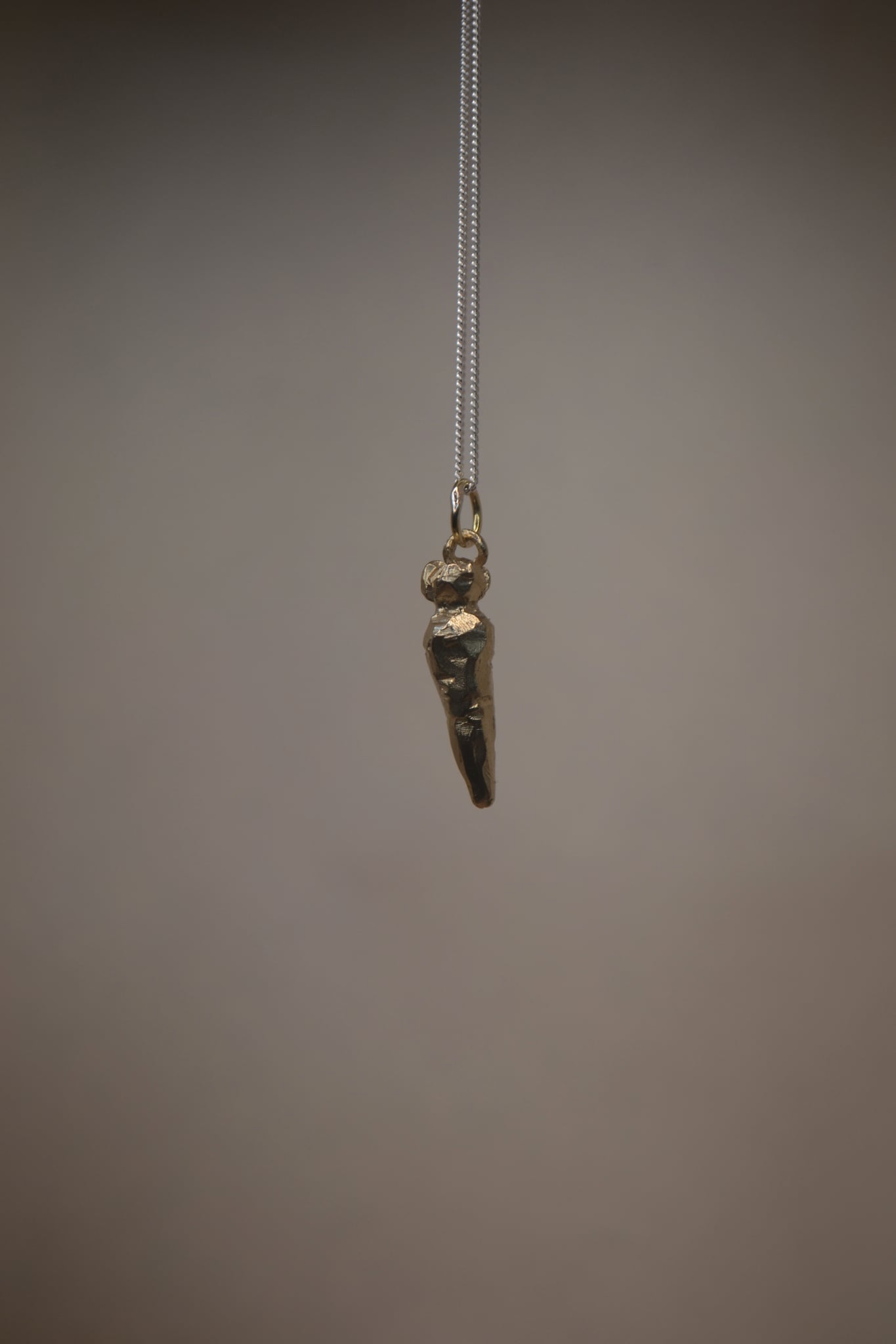 Carrot | Garden Series